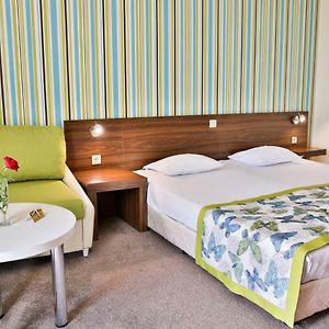 Standard Double Room till 1199 years